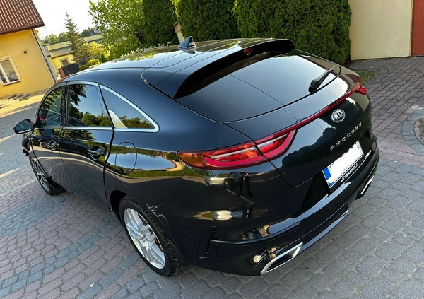 Kia Pro_cee'd cena 53500 przebieg: 54600, rok produkcji 2021 z Siedlce małe 497